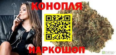 гашик Гуково