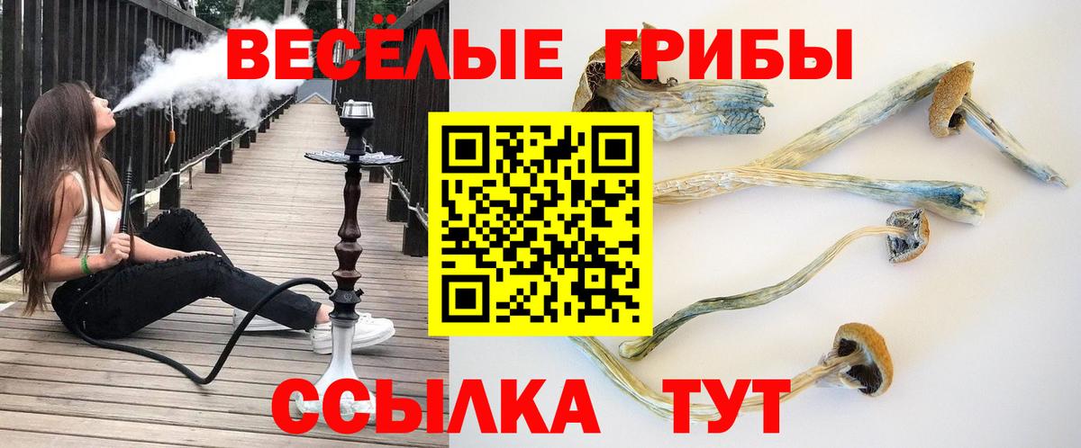 Псилоцибиновые грибы прущие грибы Прохладный