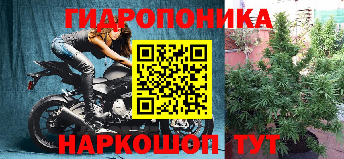 Конопля LSD WEED  МАРИХУАНА гибрид  Марихуана конопля  Прохладный  Вход с VPN 